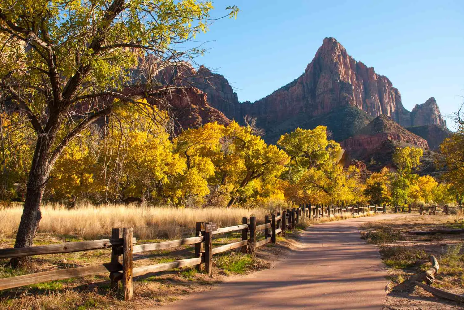 Paved accessible trail along river in Zion National Park with red rock cliffs and wheelchair user enjoying the scenic path